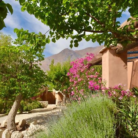 Refugio Misterios Del Elqui Acomodação com café da manhã Pisco Elqui Exterior foto