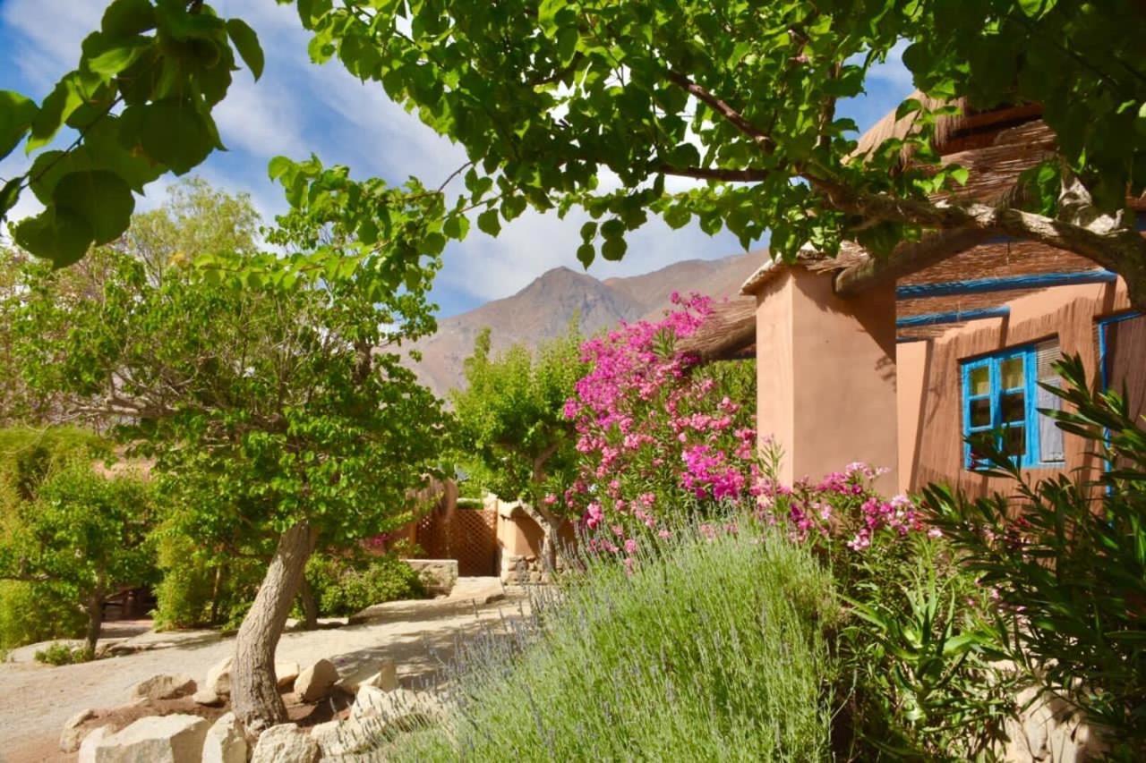 Refugio Misterios Del Elqui Acomodação com café da manhã Pisco Elqui Exterior foto