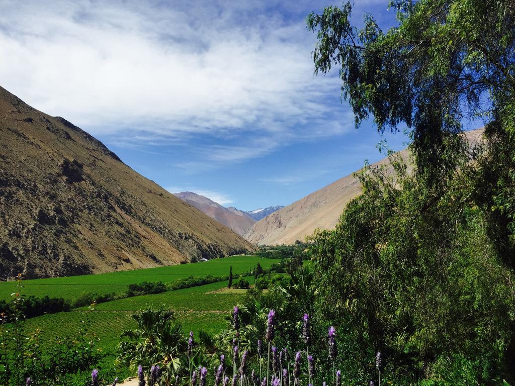 Refugio Misterios Del Elqui Acomodação com café da manhã Pisco Elqui Exterior foto