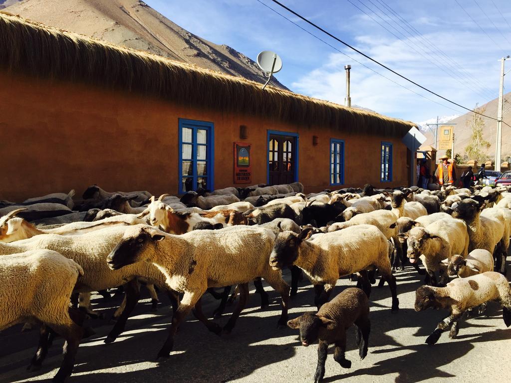 Refugio Misterios Del Elqui Acomodação com café da manhã Pisco Elqui Exterior foto