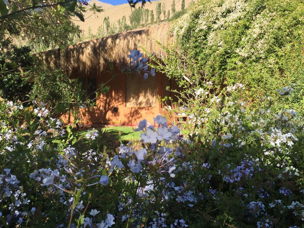 Refugio Misterios Del Elqui Acomodação com café da manhã Pisco Elqui Exterior foto