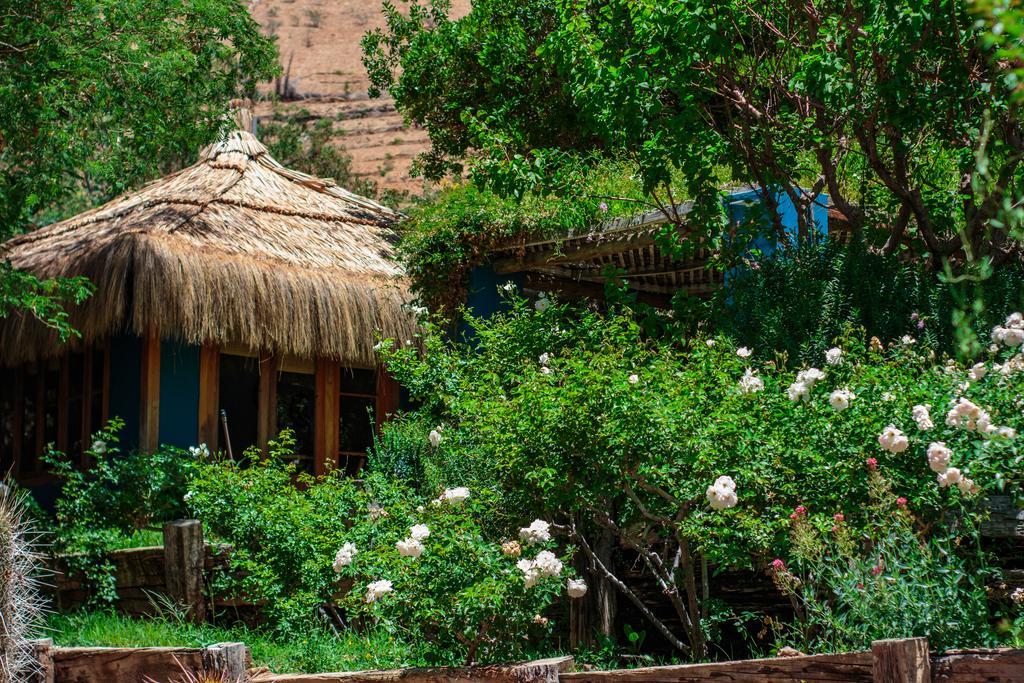 Refugio Misterios Del Elqui Acomodação com café da manhã Pisco Elqui Exterior foto