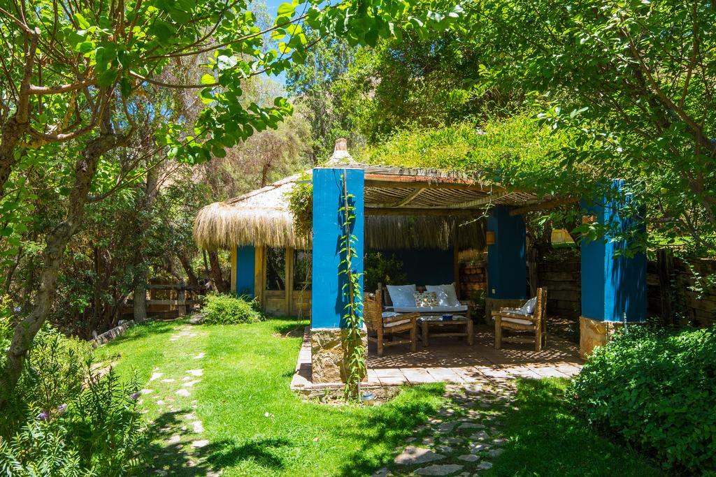 Refugio Misterios Del Elqui Acomodação com café da manhã Pisco Elqui Exterior foto